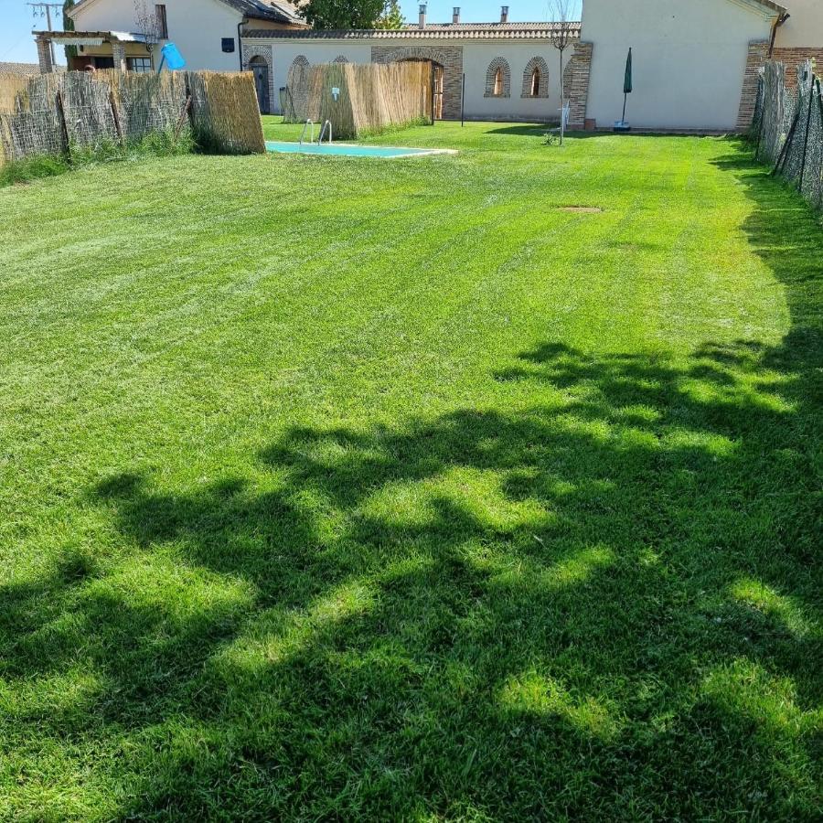 Casas Olmo Y Fresno Jardin Y Piscina A 17 Kilometros De Salamanca Ngoại thất bức ảnh